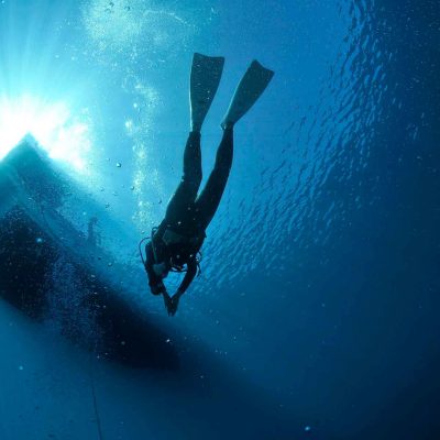 Bonus dives | Diving Valencia