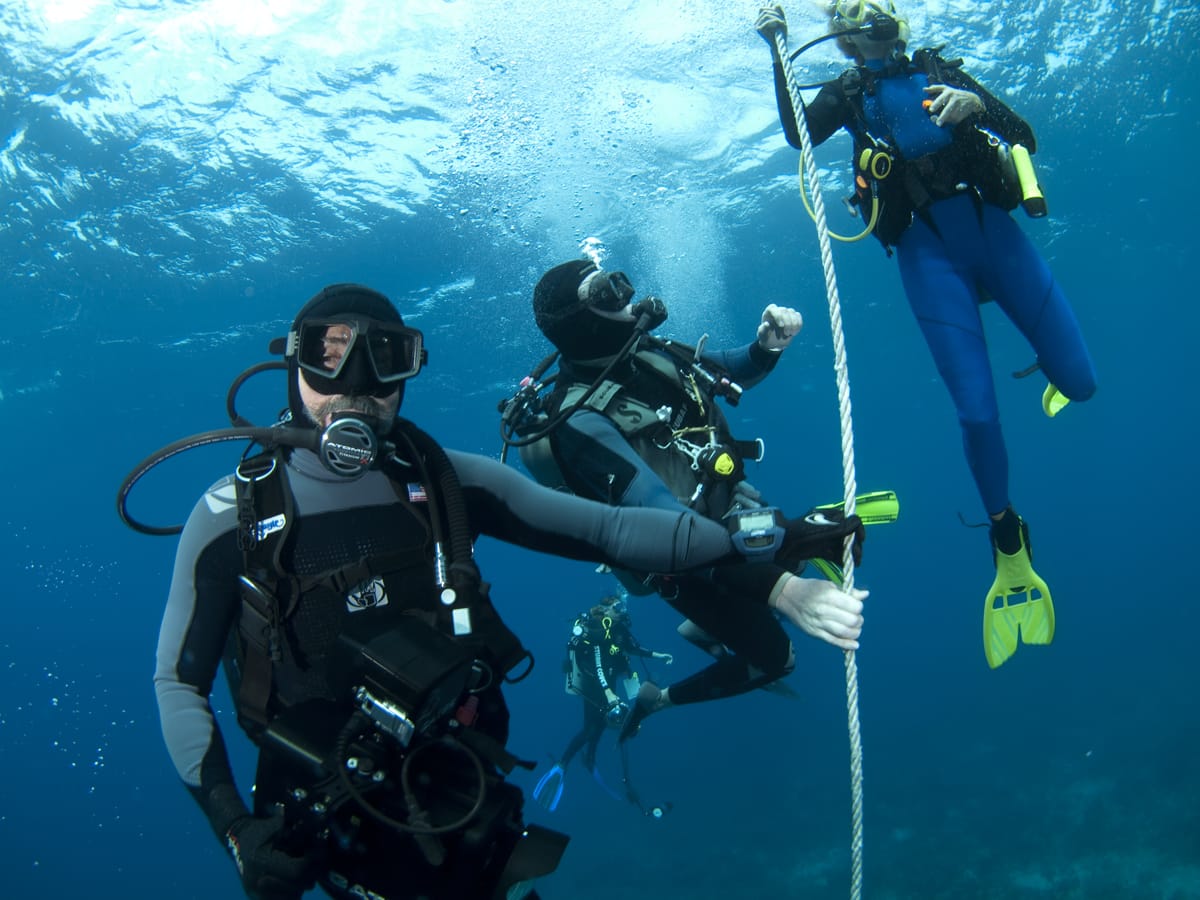 Diving Valencia Padi Immersion 14