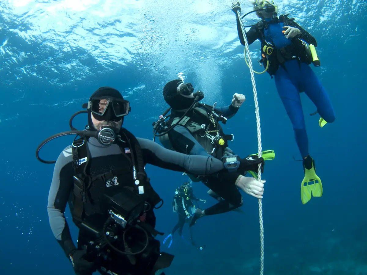 Buceo Valencia Padi Inmersion 14