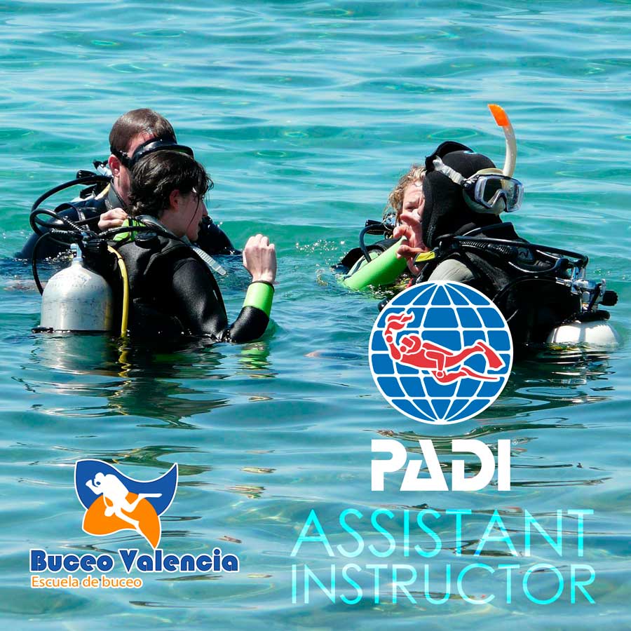 Assistant Instructor | Buceo Valencia