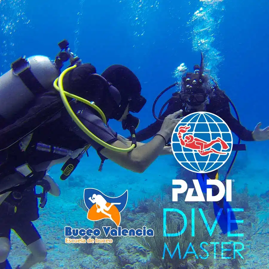 Divi Master | Buceo Valencia