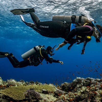 Búsqueda y recuperación