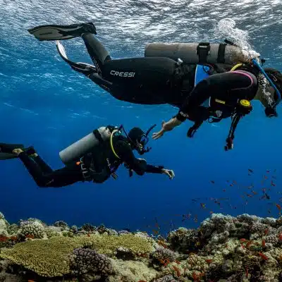 Búsqueda y recuperación